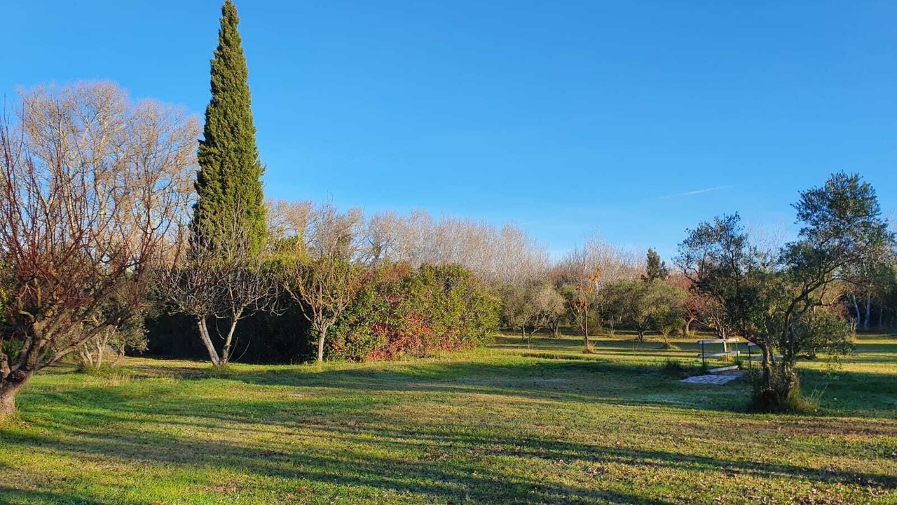 Photo of Outdoor in Maussane-les-Alpilles