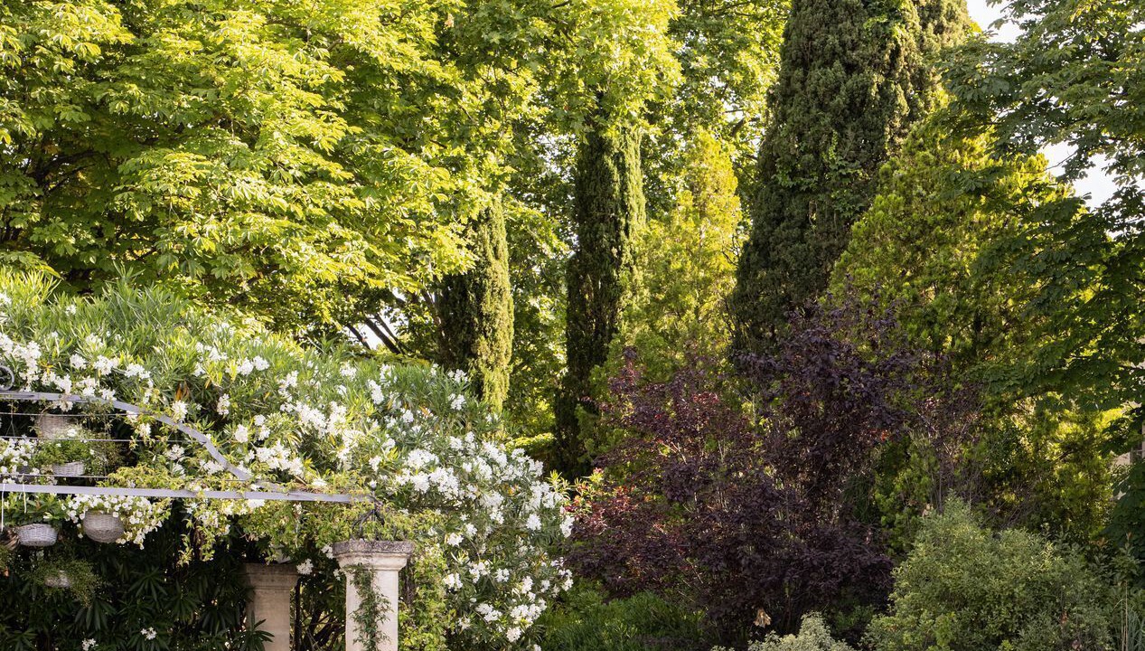 Photo of Outdoor in Maussane