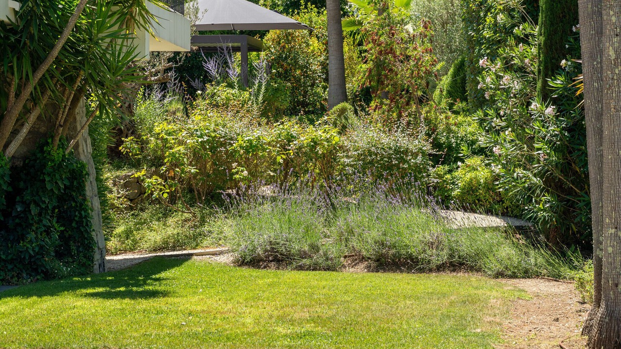 Photo of Outdoor in Mougins