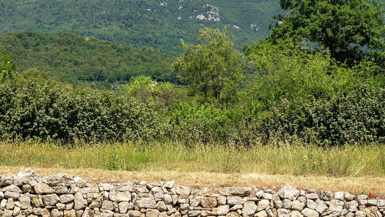 Photo of Others in Seillans