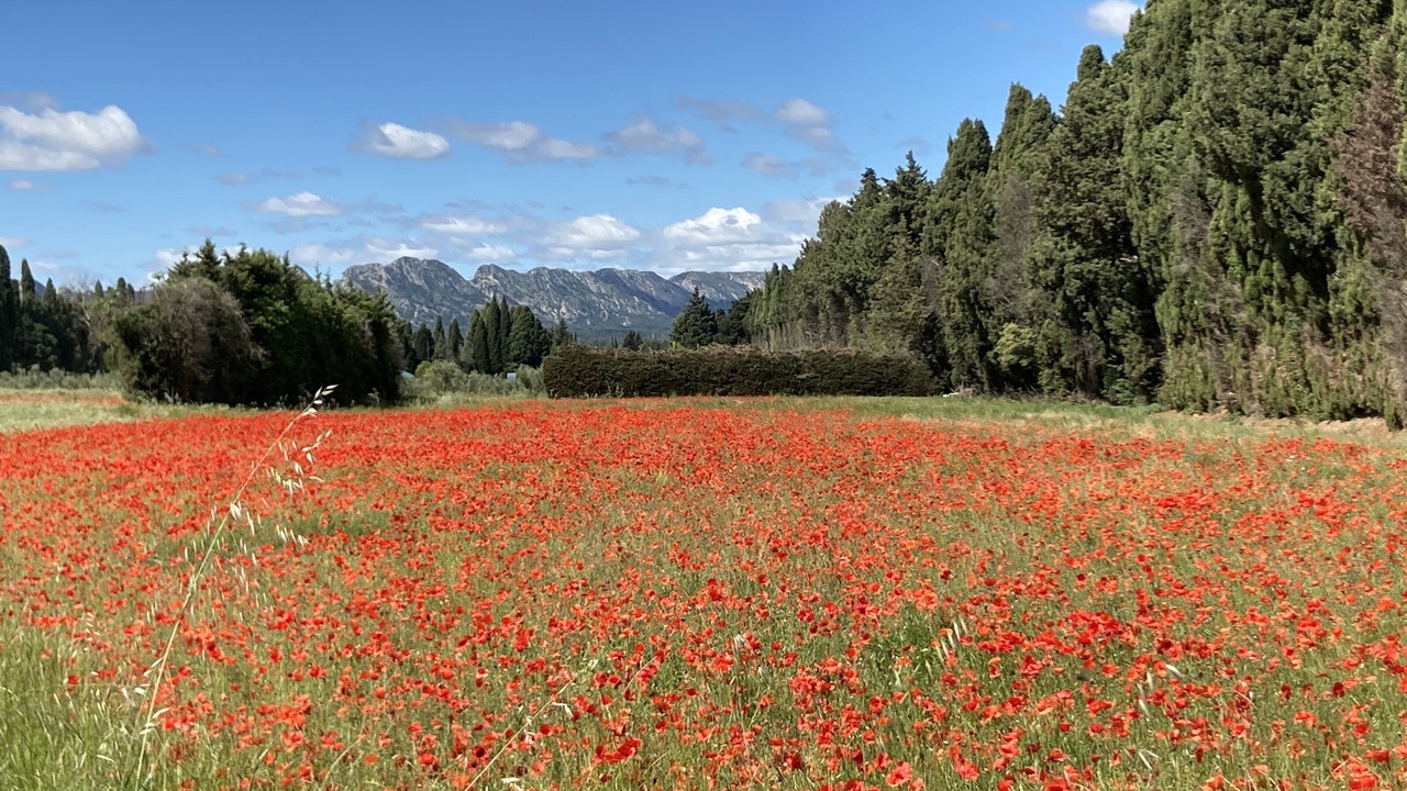Photo of Outdoor in Eygalieres