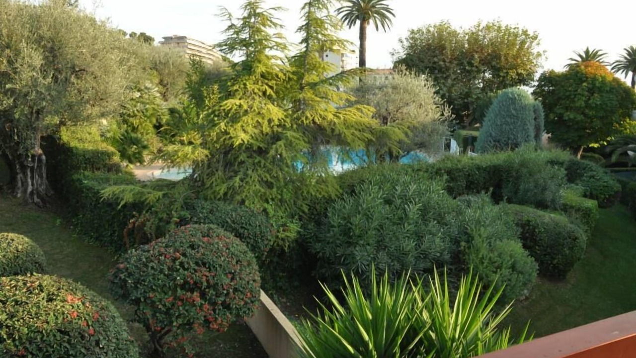 Photo of Outdoor in California - Pezou