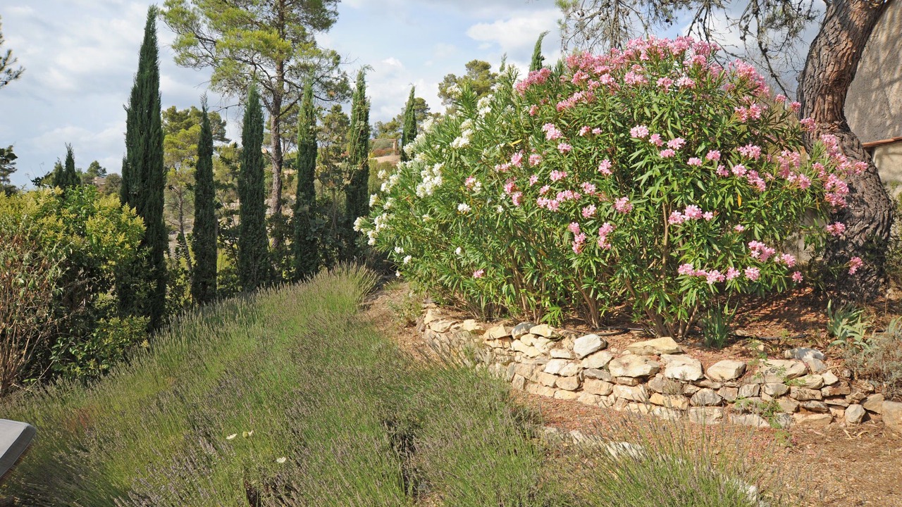 Photo of Outdoor in Esparron-de-Verdon