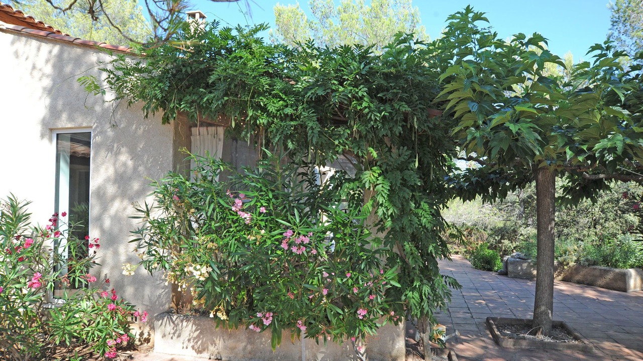 Photo of Outdoor in Esparron-de-Verdon