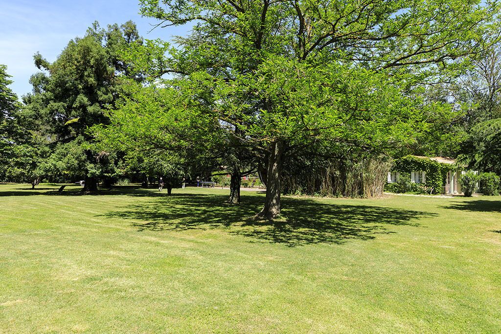 Photo of Outdoor in Avignon