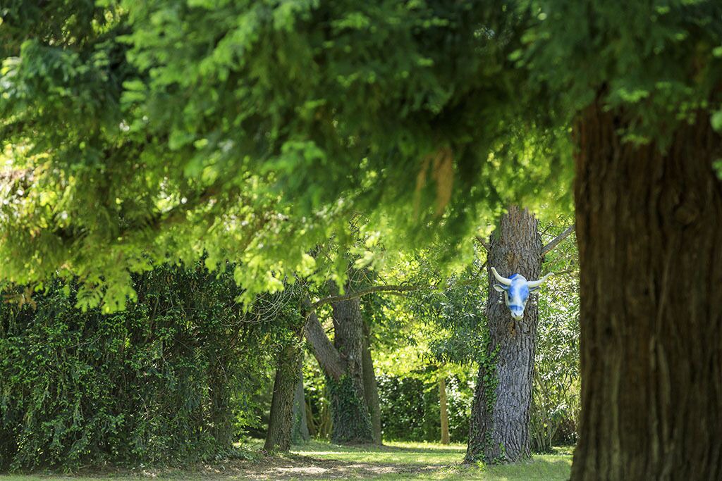 Photo of Others in Avignon