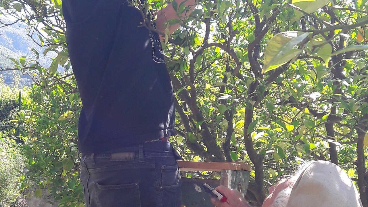 Photo of Outdoor in Le Bar-sur-Loup
