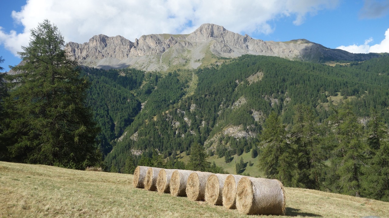 Photo of Others in Molines-en-Queyras