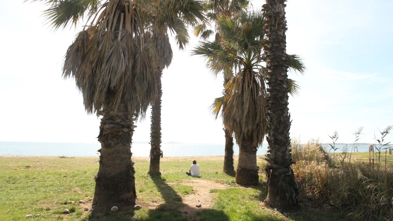 Photo of Others in Hyeres