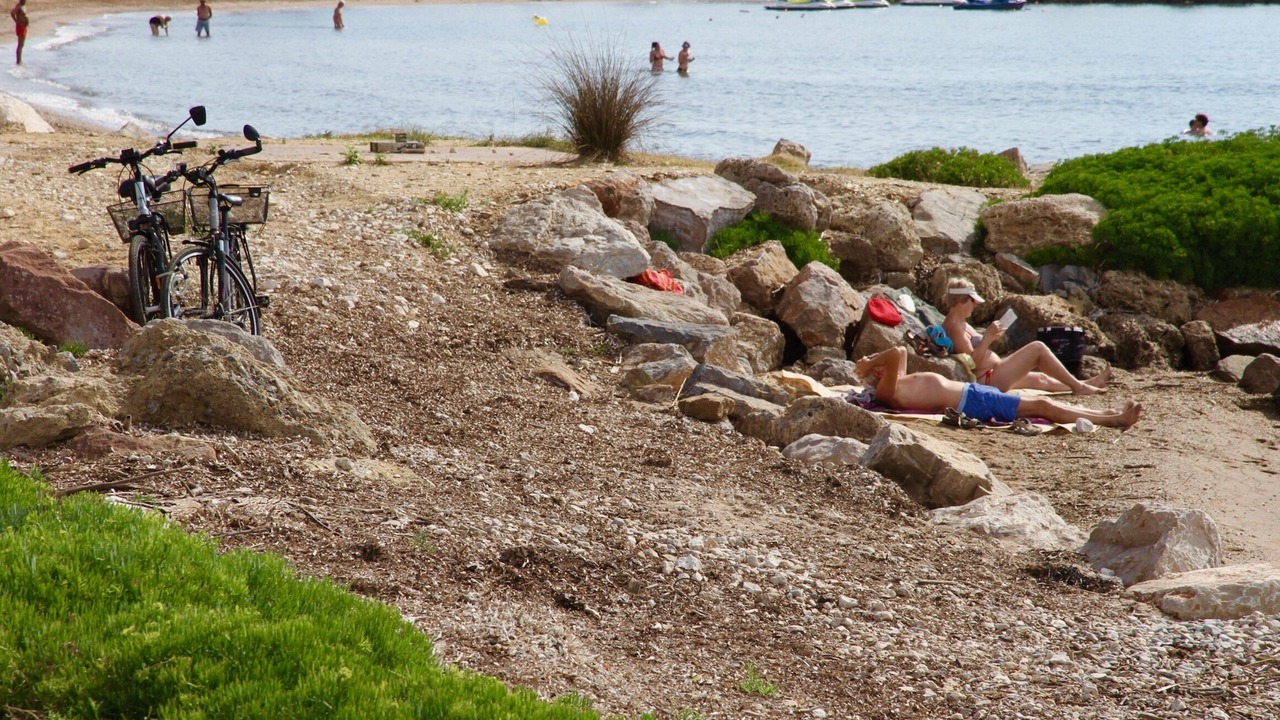 Photo of Others in Hyeres