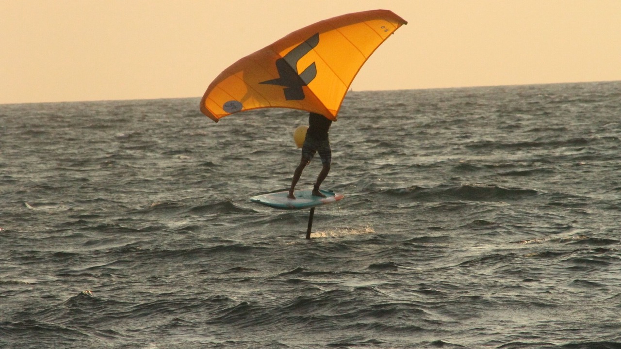 Photo of Others in Hyeres