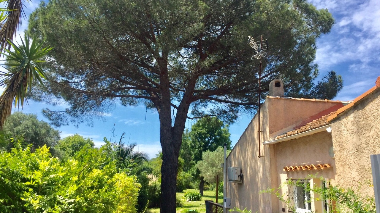 Photo of Others in Hyeres