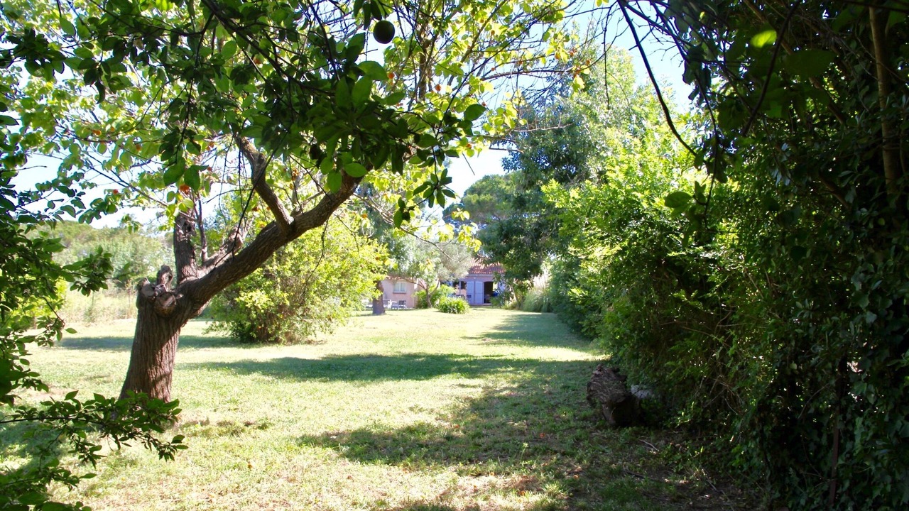 Photo of Outdoor in Hyeres