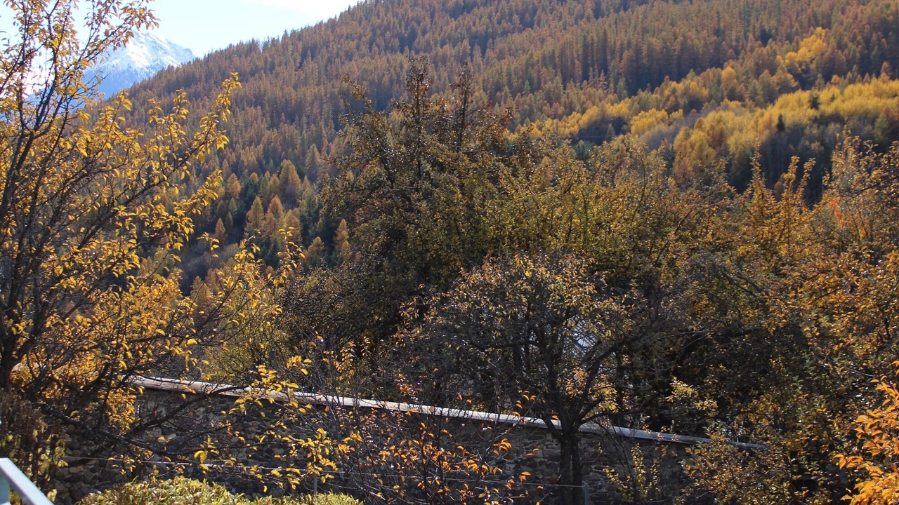 Photo of Outdoor in Saint-Chaffrey