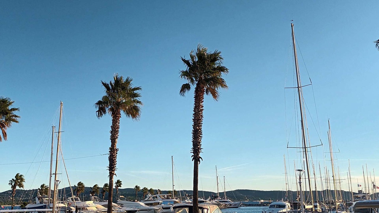 Photo of Others in Cavalaire-sur-Mer