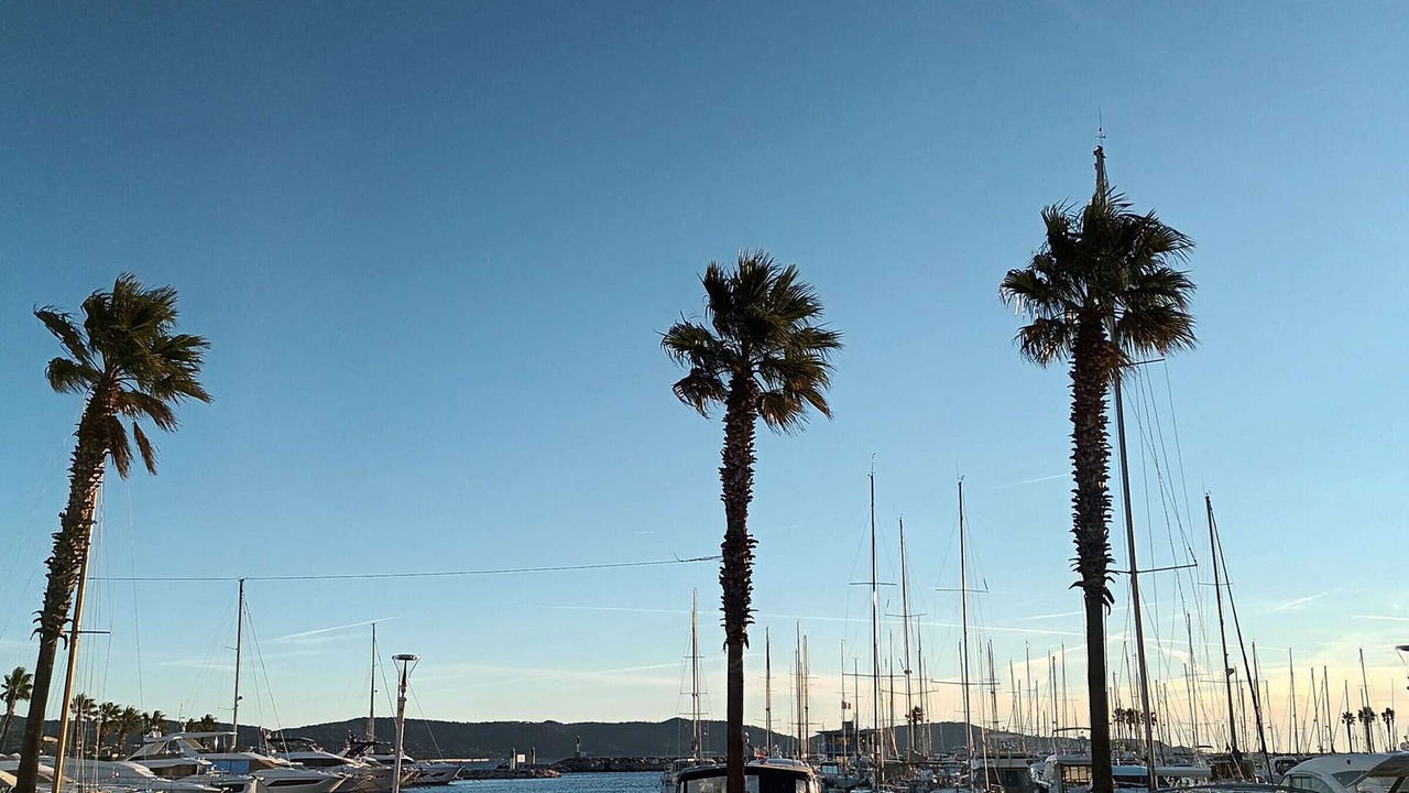 Photo of Others in Cavalaire-sur-Mer