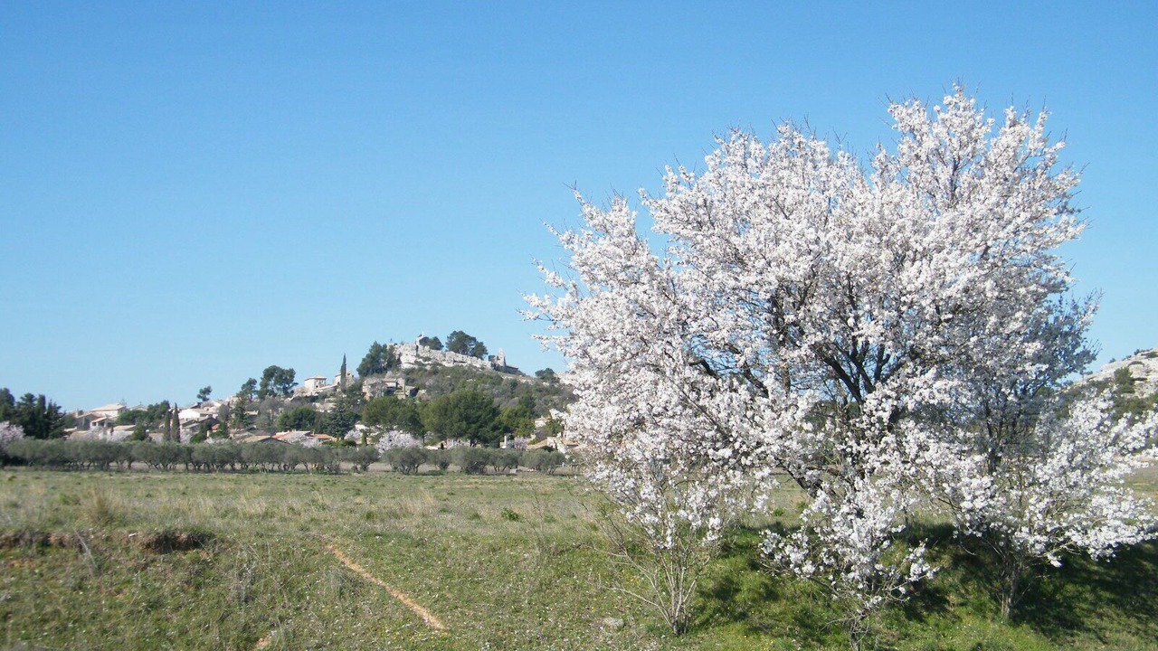 Photo of Outdoor in Eygalieres