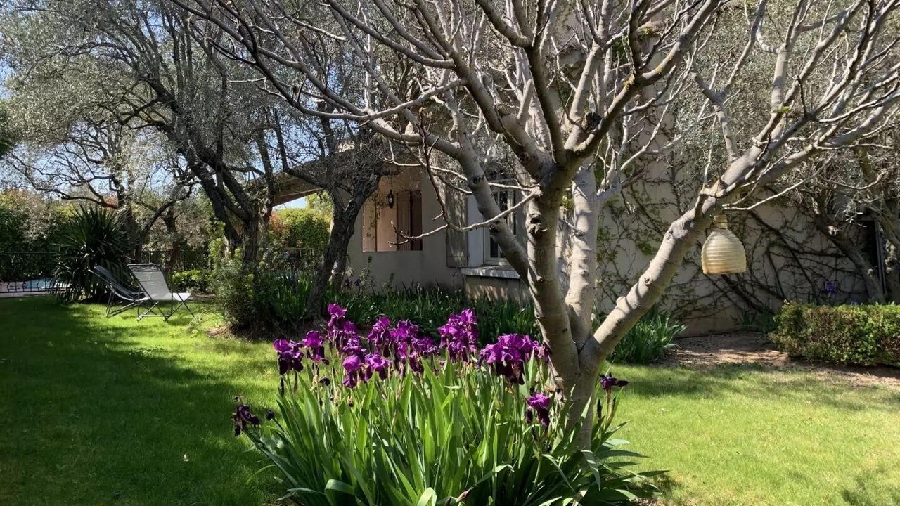 Photo of Outdoor in Eygalieres