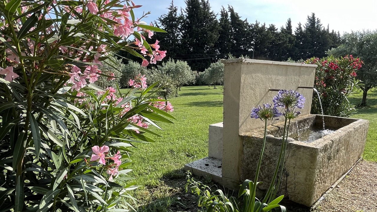 Photo of Outdoor in Chateaurenard