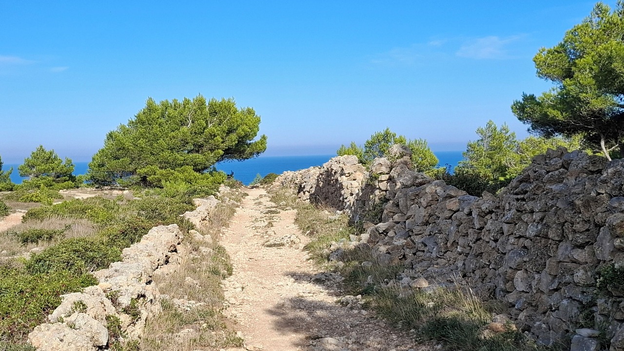 Photo of Others in Escales