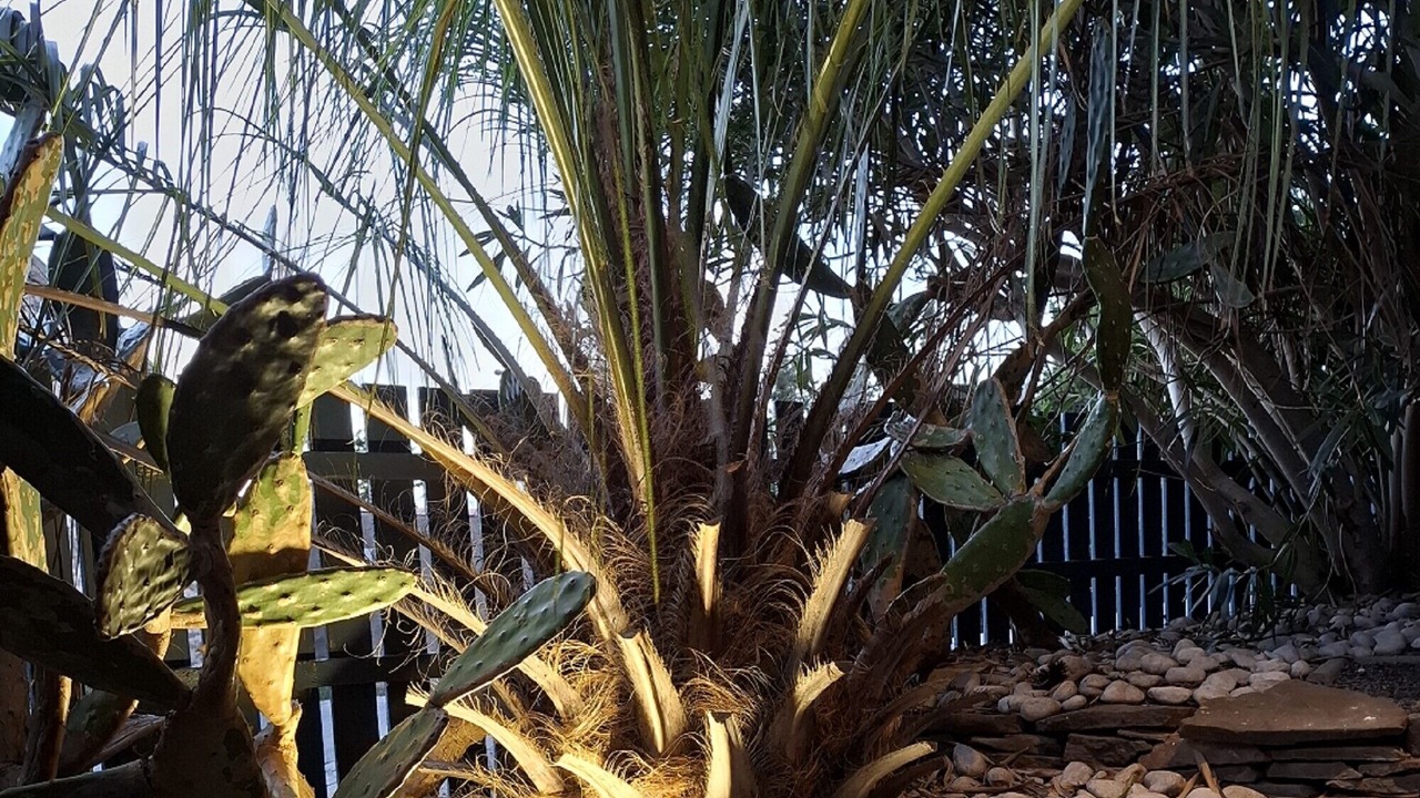 Photo of Outdoor in Escales