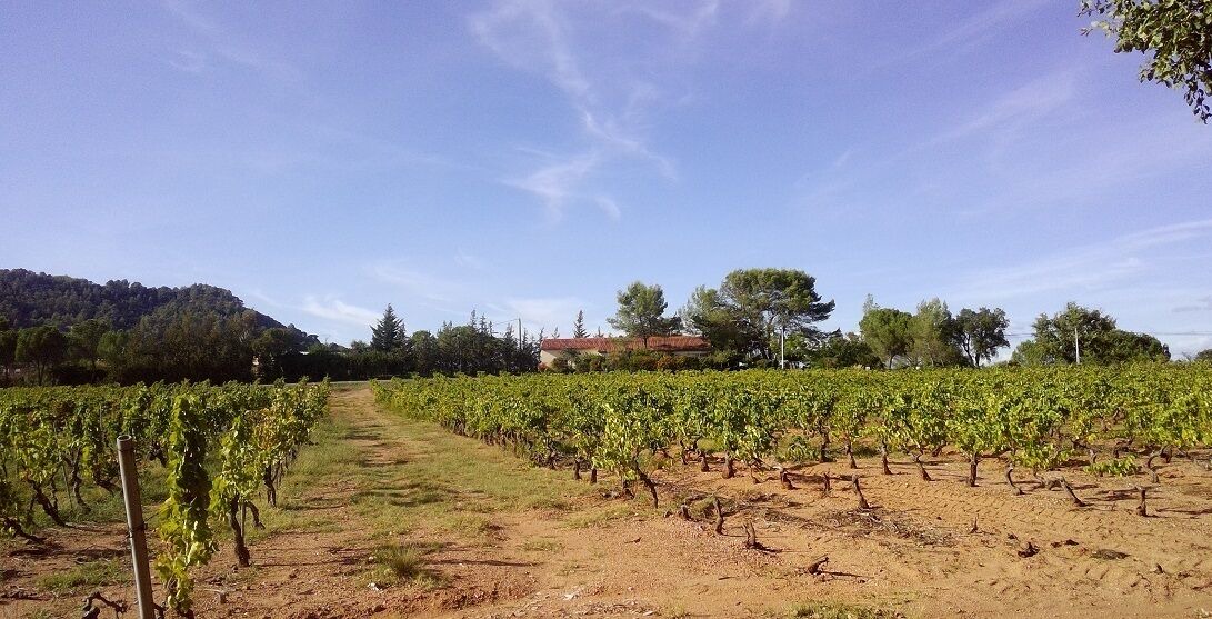 Photo of Outdoor in Vidauban