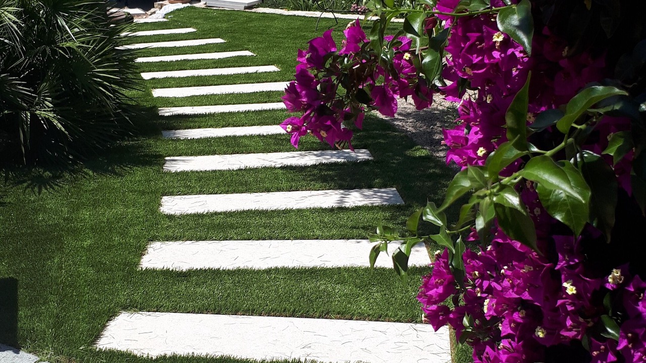 Photo of Outdoor in Mougins