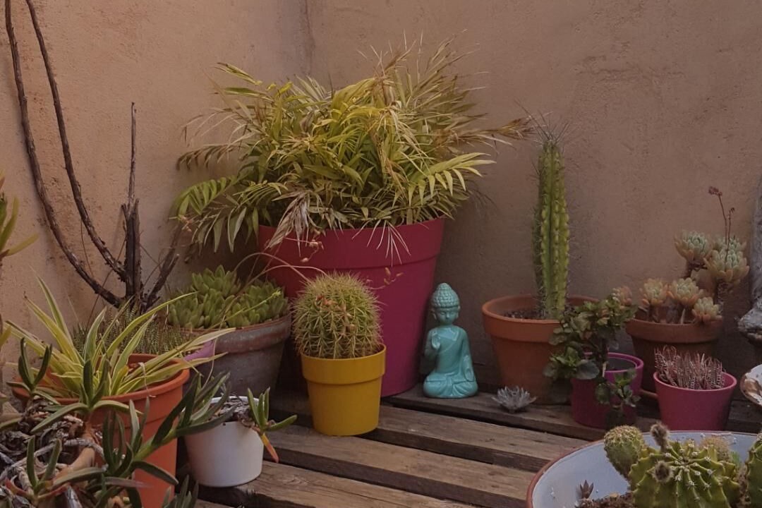 Photo of Outdoor in Tourbes
