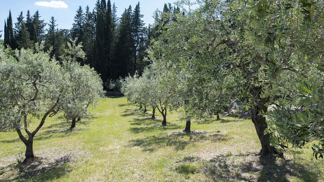 Photo of Outdoor in Castellina in Chianti