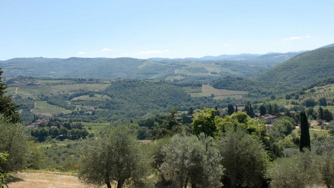 Photo of Others in Castellina in Chianti
