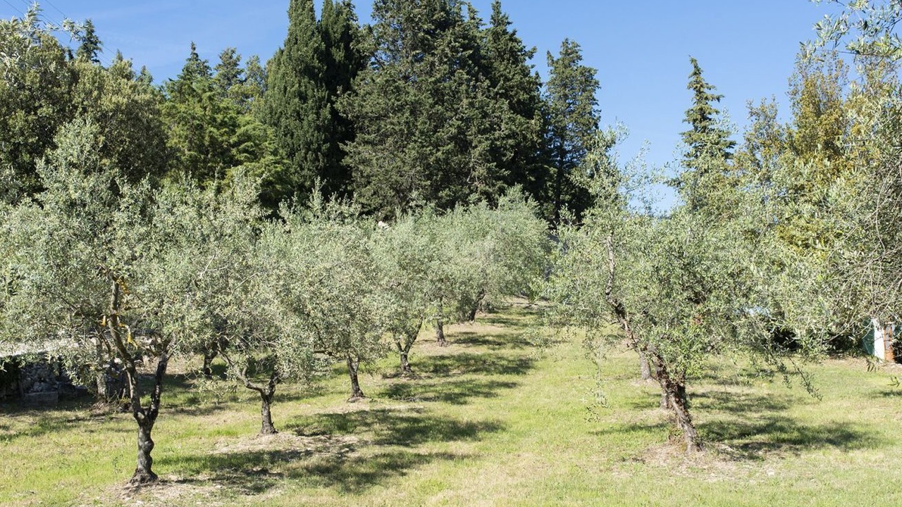 Photo of Others in Castellina in Chianti