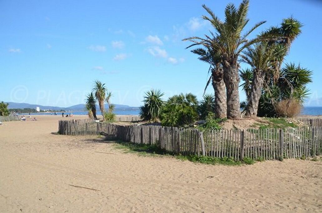 Photo of Others in Hyeres