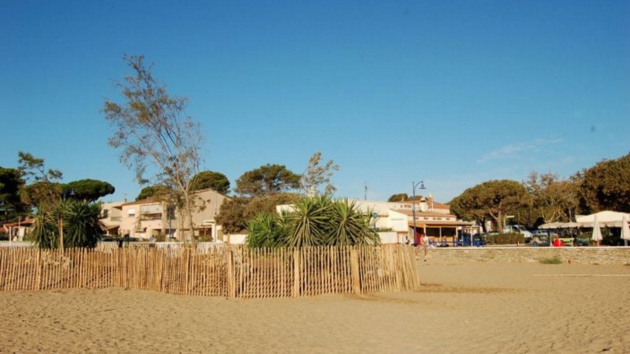 Photo of Others in Hyeres