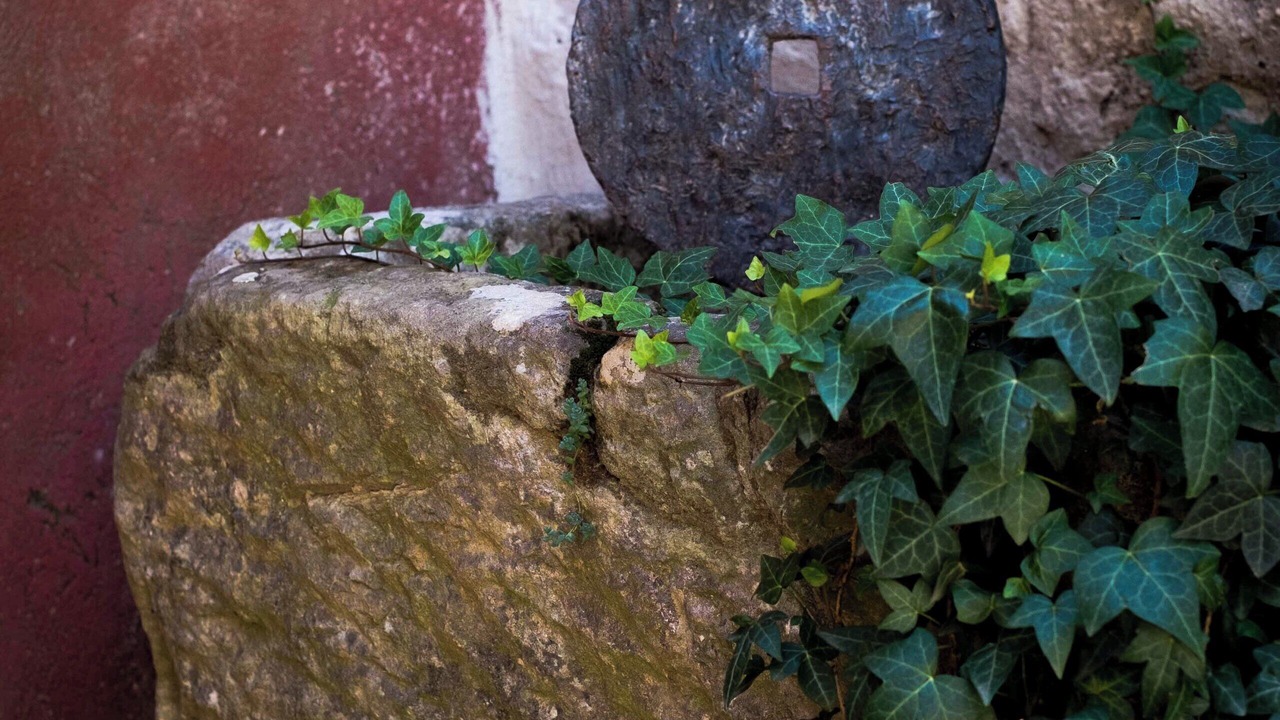 Photo of Outdoor in Collorgues