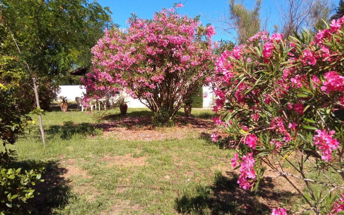 Photo of Outdoor in Aigues-Mortes