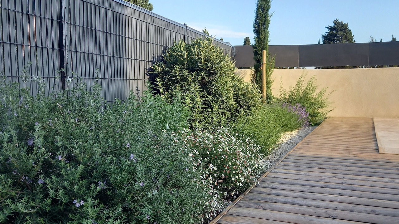 Photo of Outdoor in Maillane