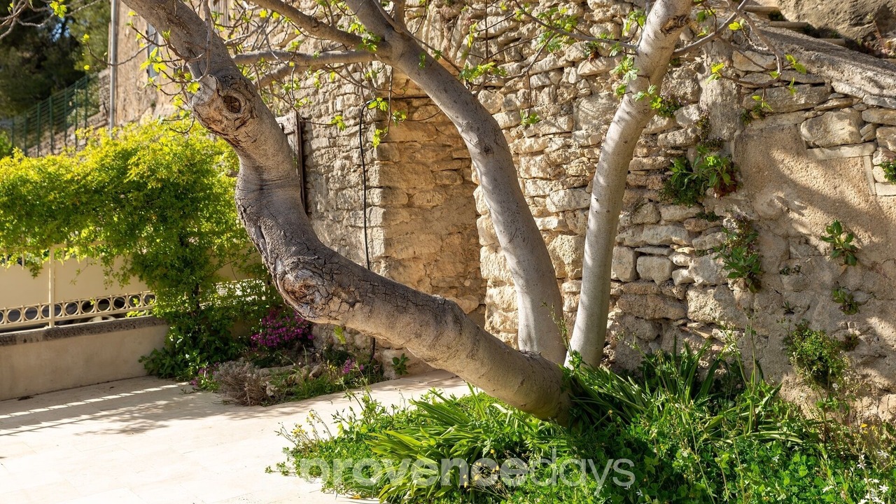 Photo of Outdoor in Bonnieux