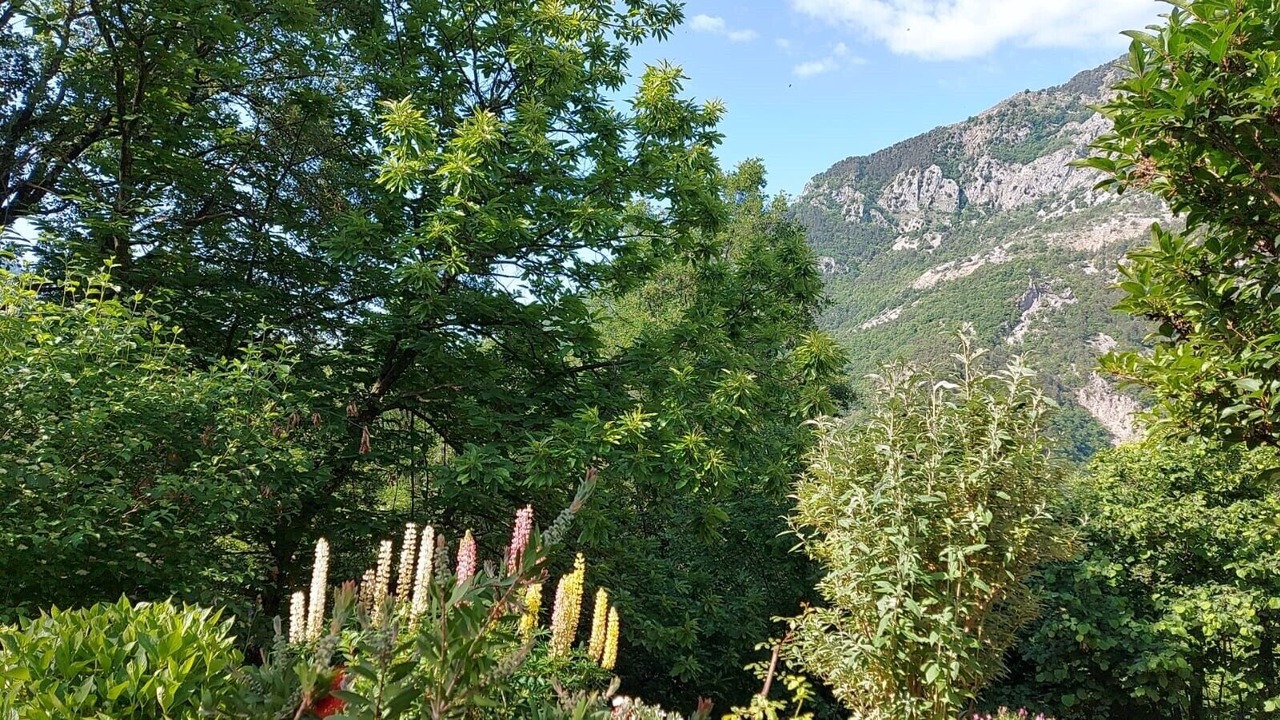 Photo of Outdoor in Lantosque