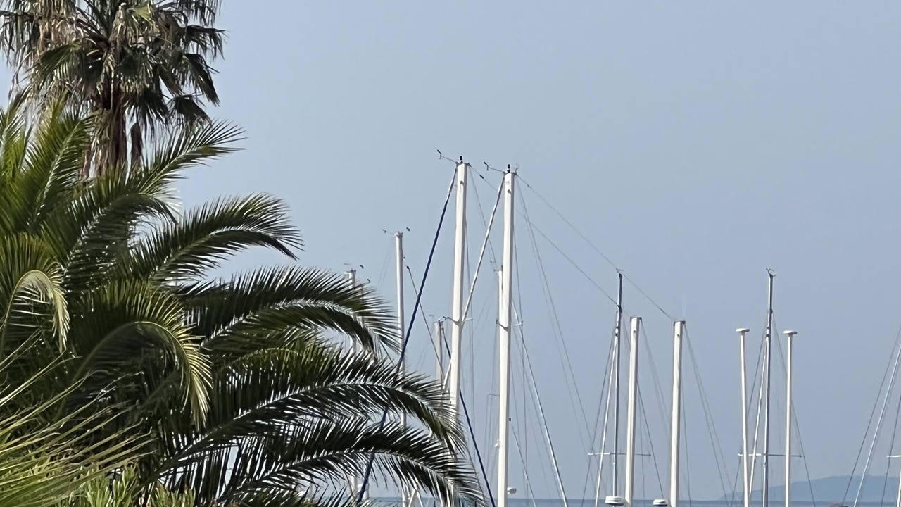 Photo of Outdoor in Saint-Raphael