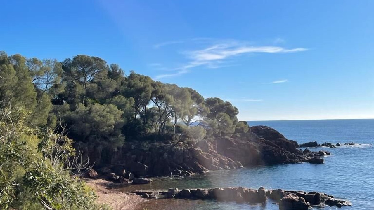 Photo of Others in Saint-Raphael