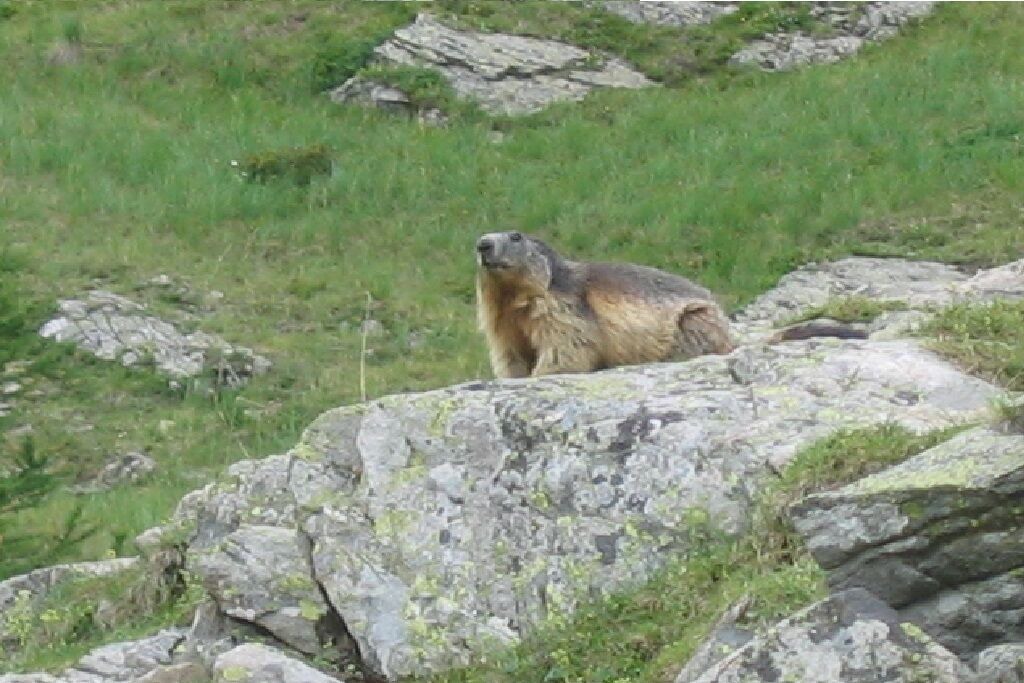 Photo of Outdoor in Orcieres-Merlette