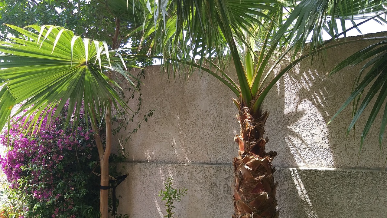 Photo of Outdoor in Les Caillols