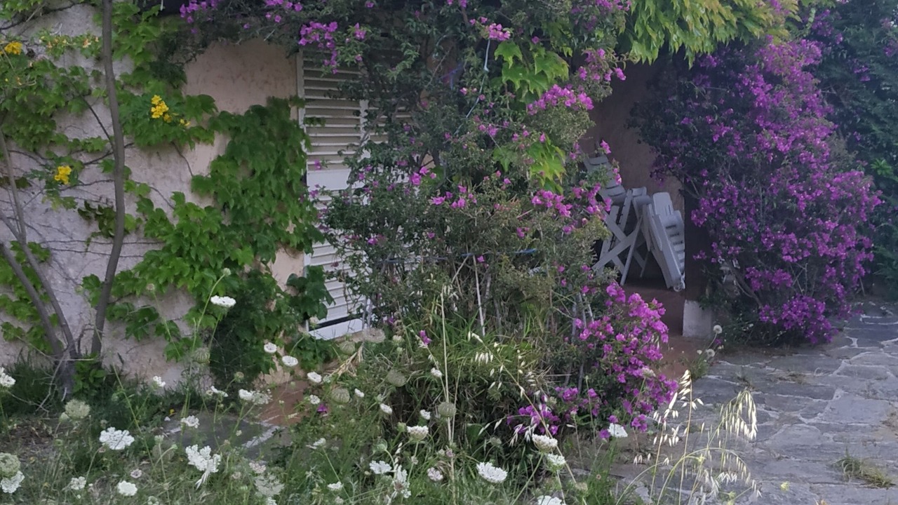 Photo of Outdoor in Guerrevieille