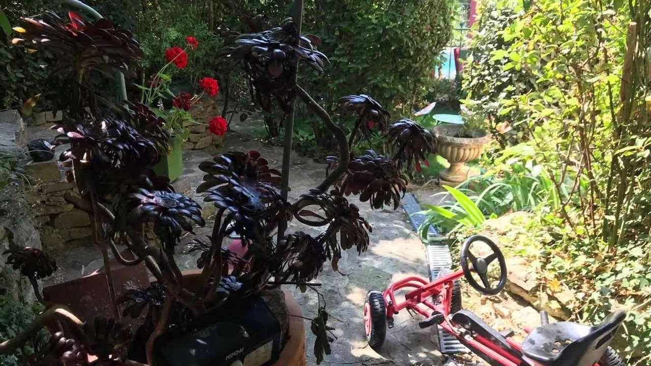 Photo of Outdoor in Ceyreste