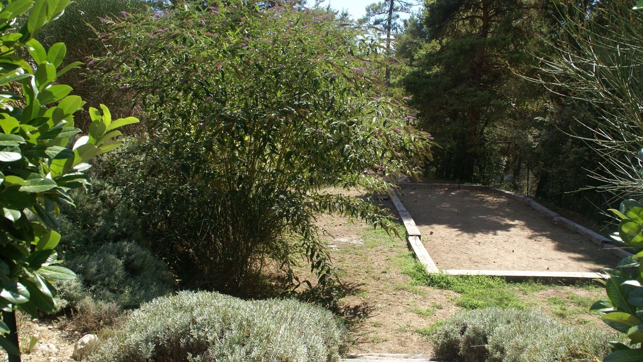 Photo of Outdoor in Montauroux