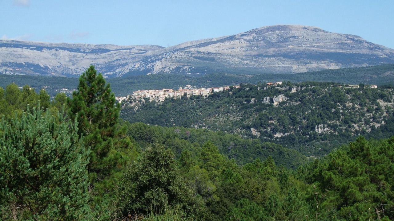 Photo of Others in Montauroux