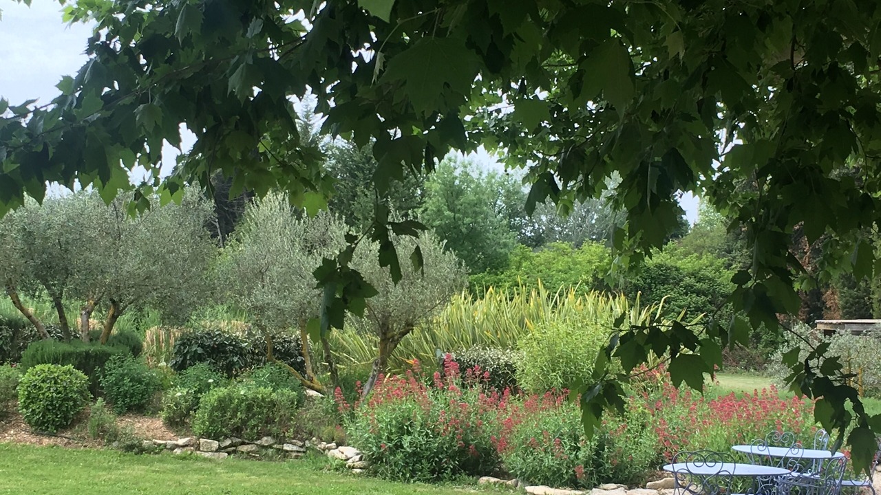 Photo of Outdoor in Noves