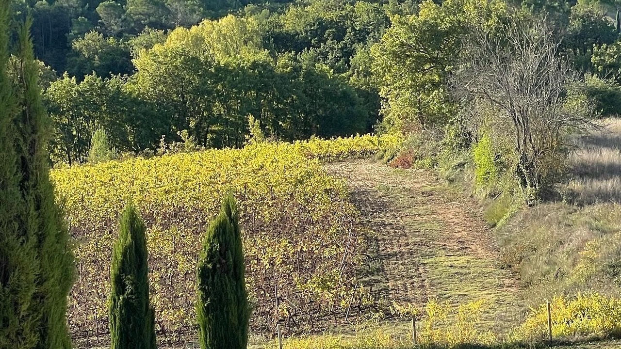 Photo of Outdoor in Le Puy-Sainte-Reparade