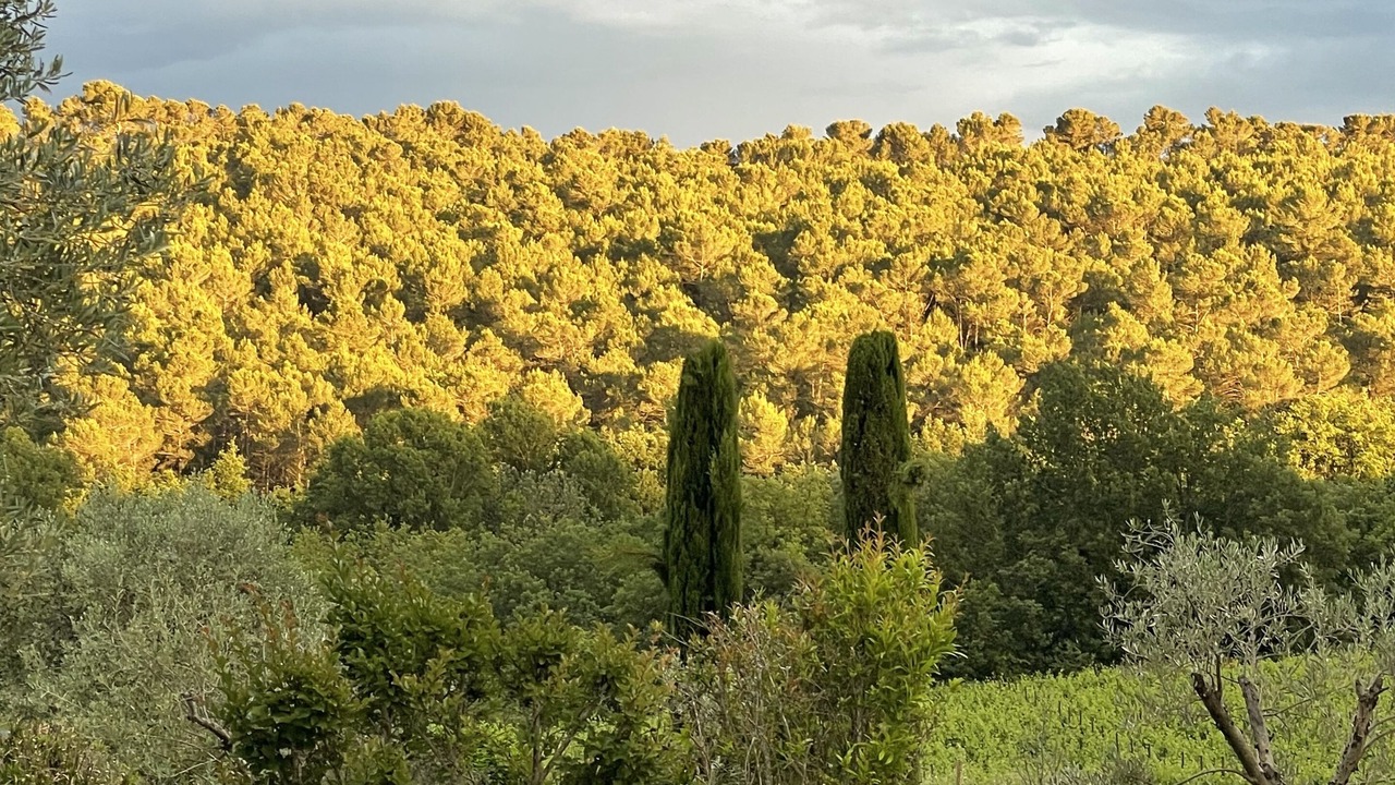 Photo of Outdoor in Le Puy-Sainte-Reparade