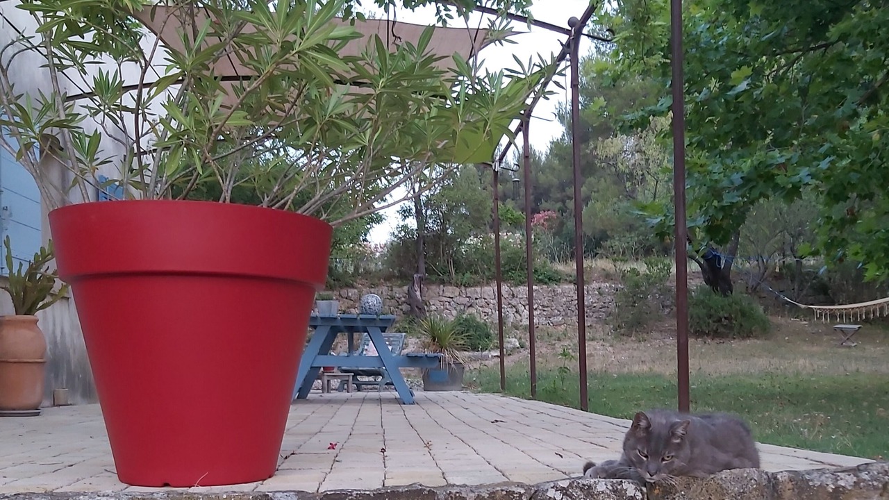 Photo of Outdoor in Gemenos